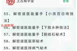金涛道人【道医能量手】面授学习班视频9集 百度云下载！