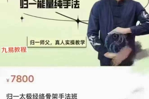 归一太极经络骨架手法班课程视频4集 百度云下载!