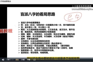 文曾《盲派独门绝技》21集视频（更新后40集）百度云下载！
