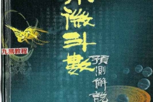 赵利华-紫微斗数预测解说.pdf 215页 百度云免费下载!