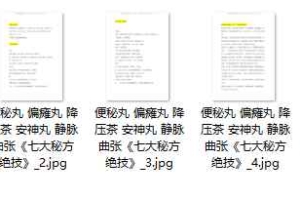 便秘丸 偏瘫丸 降压茶 安神丸 静脉曲张《七大秘方绝技》PDF电子书