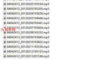 李锦泉奇门2012录音17集+文档pdf 百度云下载！
