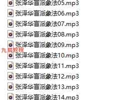 张泽华盲派命理象法17集录音 百度云下载!