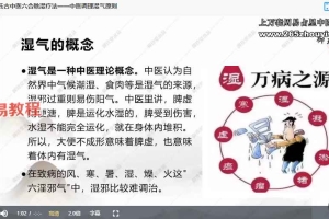 唐海成唐氏古中医：六合除湿疗法一期视频20集 百度云下载！