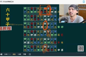 金镖门柏乔老师最新课程——深度基础视频29集 百度云下载!