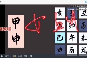 萤火虫《八字取象》95集视频 百度云下载!