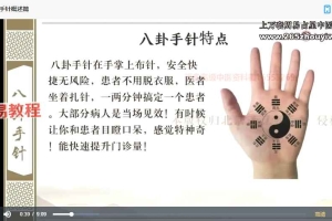 杨思琨八卦手针系列网课视频25集 百度云下载!