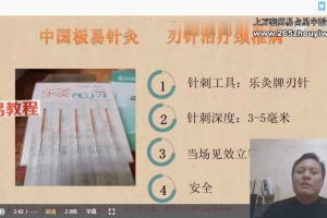 刘朝龙极易针灸视频课程10集 百度云下载!