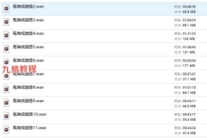 马瑞成-姓名新法预测录音15集+资料3册pdf 百度云下载！