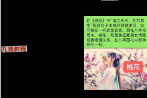 鹿早-盲派命理(绝密秘术,不可外传) 视频11集 百度云下载!