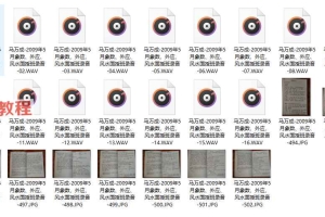 马万成梅花心易4套录音+资料pdf 百度云下载!