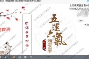 毛小妹经络解读核心课（C课程）视频16集 百度云下载！