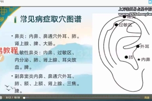 福旺耳医学门诊精讲耳穴治疗班视频13集+ppt 百度云下载！