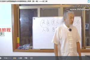 天医先天炁脉针法调理疼痛及内科疑难病线上网课——张三峰