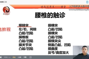 邱磊动态还原术网络面授2023年新课视频3大集 百度云下载!