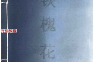正宗安徽相法铁槐花pdf 上下册 百度云下载！