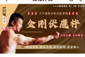 金刚伏魔杵视频10集 百度云下载!