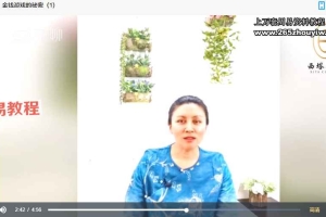 30天显化丰盛课程视频17集+录音6节 百度云下载!
