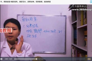 11类疾病,辩证取穴、临床实用针灸处方视频11集 百度云下载!
