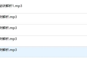 盲派鸳鸯门婚姻秘诀解析录音5节课程 百度云下载！