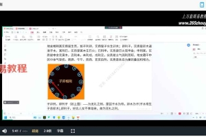 2023癸亥四柱八字新人课程视频19集 百度云下载!