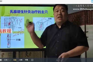 孙大为一针疗法视频54集 百度云下载!