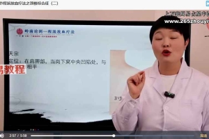 程冰雪岭南程派放血疗法(专业课)视频64集 百度云下载!