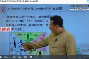 袁粲象数疗愈学视频39集 百度云下载！