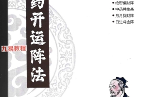 雷麒宗《中药阵法完整版》pdf 百度云下载！