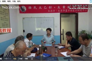针灸治疗各种病症——杨亚磊杨氏太乙针课程视频26集 百度云