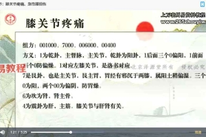 杨思坤八卦象数系列网课视频18集 百度云下载！