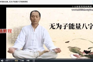 无为子能量八字象法篇_八字命理人生运程视频81集 百度云下载！