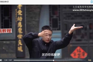 法源 《八卦掌先天筑基功》精品教学课程21节视频 百度云下载!