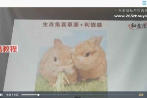 姜鲁宜《微信头像识人术》之【头像设计布局】课程23集视频 百度云下载！