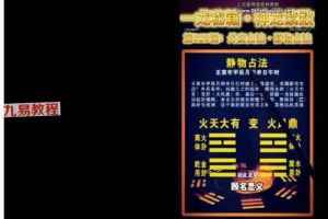《刘一龙周易神龙紫数》86集视频 百度云下载!