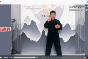 内家拳丹田功教学视频5集 百度云下载!