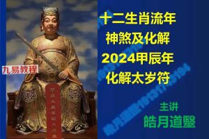 皓月道医2024年化太岁视频一集+3个资料pdf 百度云下载！