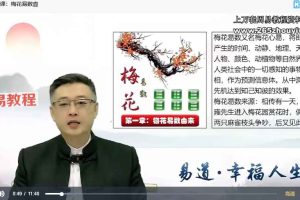 弘易梅花易数视频14节 百度云下载！