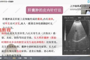 李小红中华皮内针疗法视频22集 百度云下载！