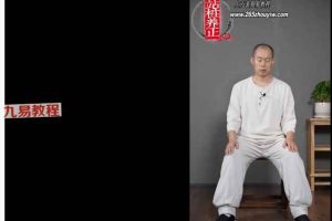 【桩功好课】桩道天周天高功班 七周49天跟练好课 全167讲频视课 百度云下载!