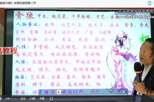 2023年姚老师《紫微斗数》命理实战班91-96期实战课程合集视频 百度云下载！