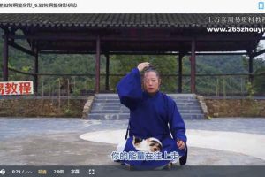 武当李资通 道家打坐 线上教学视频22集 百度云下载!