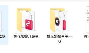 六福 桃花娘娘令 第一期+第二期文档pdf+课件 百度云下载!