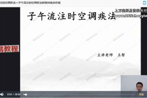 王哲-子午流注时空调疾术-23集理疗必学视频 百度云下载！