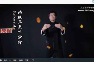 中华《内功修炼》视频7集 百度云下载！