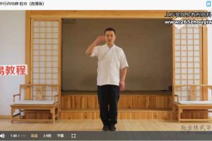 赵宝珠《长生内功禅》内功静修导引课程视频12集+录音 百度云下载！