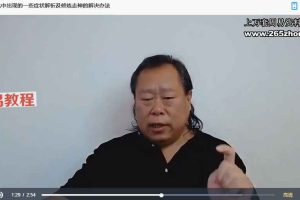 许明堂 挠场助修中原禅一阶视频41讲49集 百度云下载!