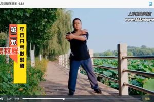 桩道八段锦:引桩入锦筑基功视频12集 百度云下载!