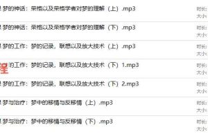 王峘释梦与人格类型的应用课程（6+6课程模式）录音 百度云下载！
