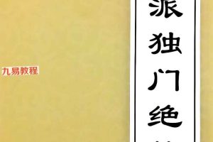 文曾内部文档 盲派独门绝技pdf 417页 百度云下载!